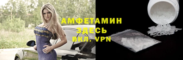 твердый Мегион