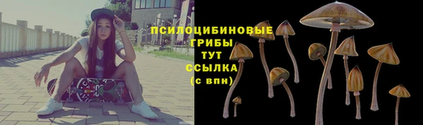 таблы Лиски